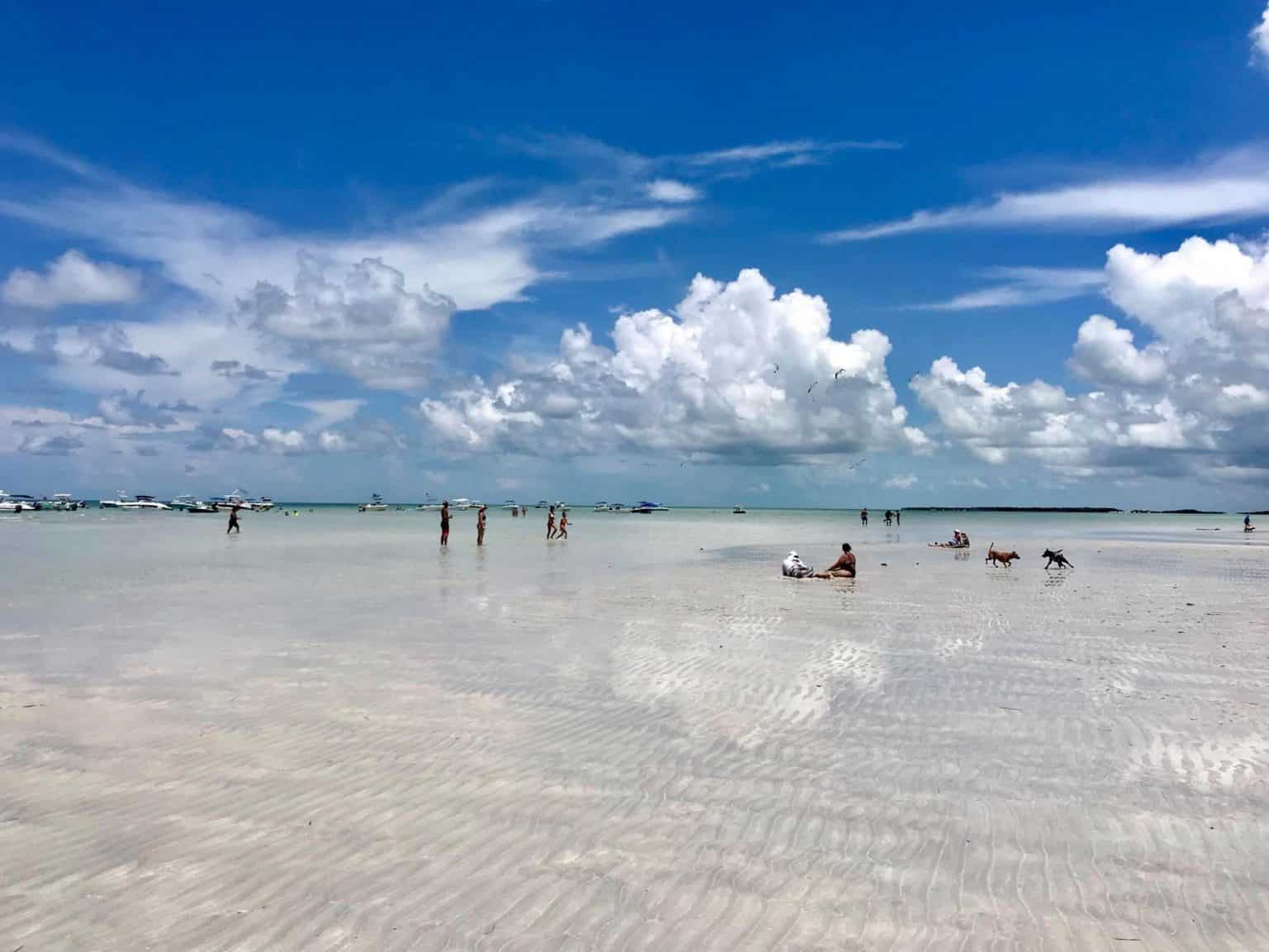 spend-a-day-like-a-local-at-the-sandbar-sandbar-charters